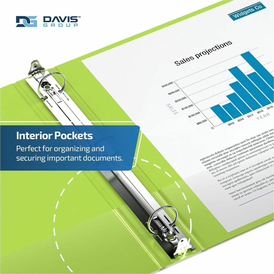 Davis Group Easyview Ring Binder - 8412-24-06
