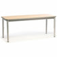 RTA Rectangular Table