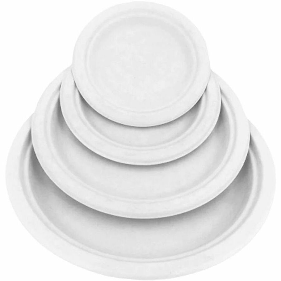 Globe Compostable Plates