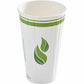 Eco Guardian 16 oz Insulated Compostable Cup