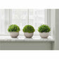 Monarch Specialties Artificial Plant - 3pcs / 5"H Grass in a 3" Grey Pot - I9589