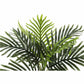 Monarch Specialties Artificial Plant - 20"H / Indoor Palm in a 5" Pot - I9501