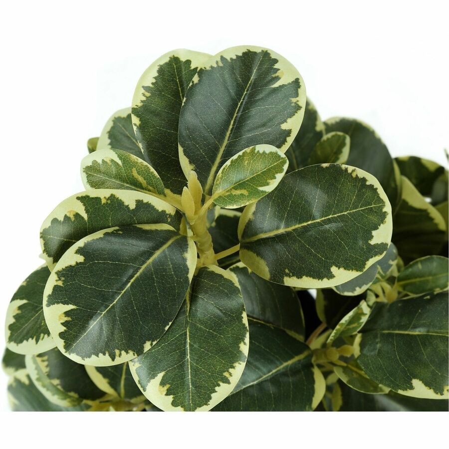 Monarch Specialties Artificial Plant - 2pcs / 14"H Ficus Elastica in 4" Pot - I9585