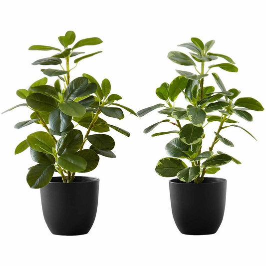 Monarch Specialties Artificial Plant - 2pcs / 14"H Ficus Elastica in 4" Pot