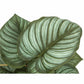 Monarch Specialties Artificial Plant - 2Pcs / 13"H Epipremnum / 4" Pot - I9583