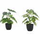 Monarch Specialties Artificial Plant - 2pcs / 13"H Monstera/Calathea/ 4" Pot - I9584
