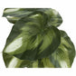 Monarch Specialties Artificial Plant - 2pcs / 13"H Monstera/Calathea/ 4" Pot - I9584