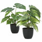 Monarch Specialties Artificial Plant - 2pcs / 13"H Monstera/Calathea/ 4" Pot - I9584