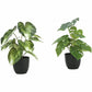 Monarch Specialties Artificial Plant - 2pcs / 13"H Monstera/Calathea/ 4" Pot - I9584
