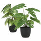 Monarch Specialties Artificial Plant - 2pcs / 13"H Monstera/Calathea/ 4" Pot - I9584