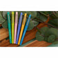 Paper Mate Flair Scented Markers - 2178578
