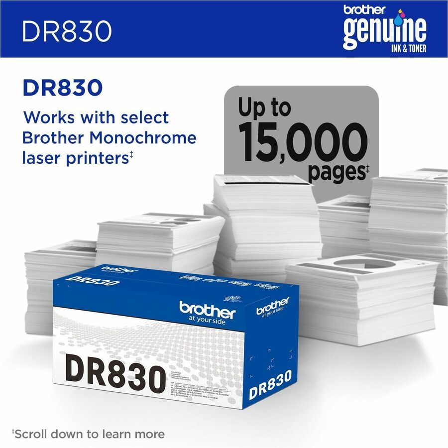 Brother DR830 Drum Unit - DR830