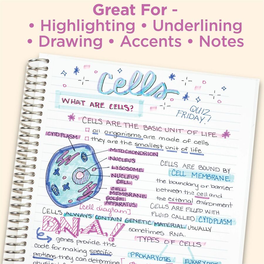 Zebra Mildliner Double-Ended Creative Highlighter Set - Neutral 5-Pack - 78605