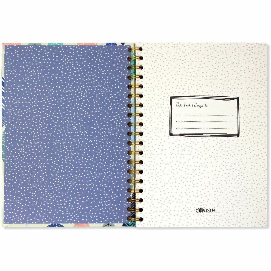 Pukka Pads B5 Spiral Hard-cover Notebook - 9379-CD