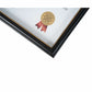 St. James&reg; Certificate/Document/Diploma Frame, 8.5x11" , Black with Gold Trim, 83916 - 83916