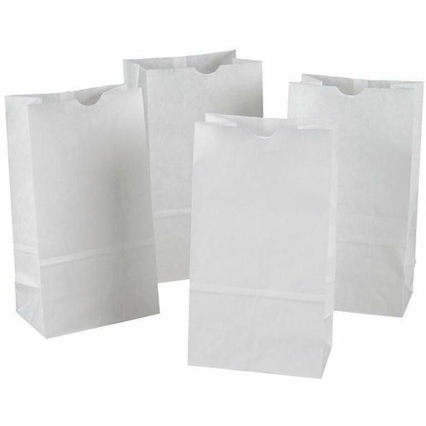 Creativity Street Kraft Bags - P0072005