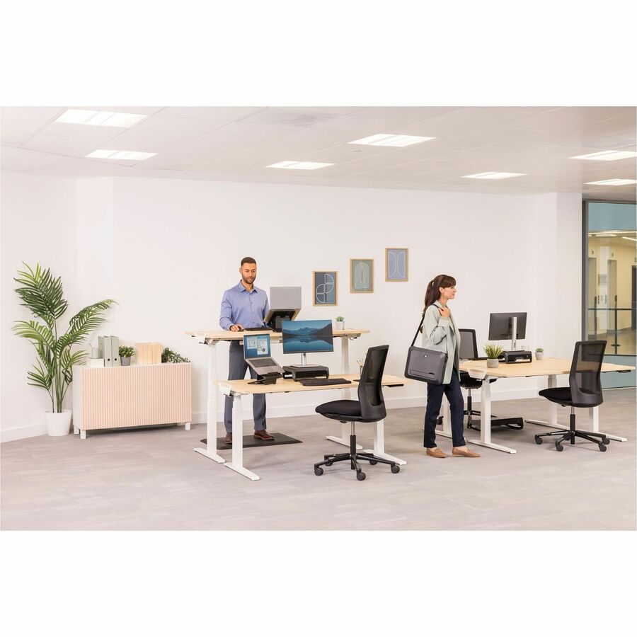 Fellowes Breyta Monitor Stand - 100098502
