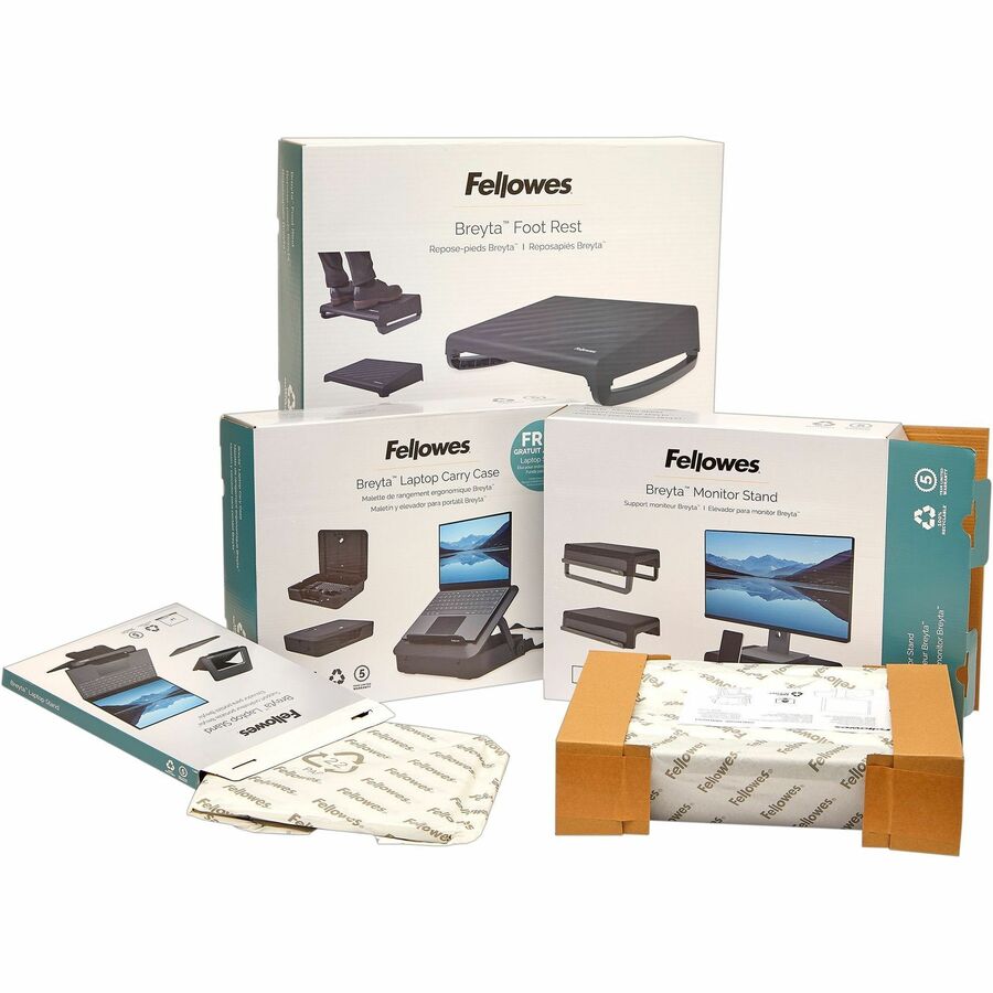 Fellowes Breyta Monitor Stand - 100098502