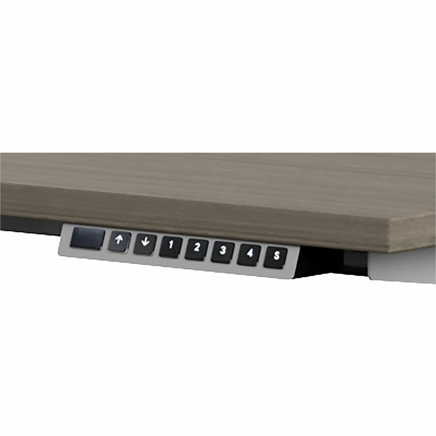 Newland 60" x 30" Height Adjustable Table, 3-Stage, Absolute Acajou/Tungsten - NL60303QHT ACJ TUN