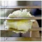 Swiffer Duster Multi-Surface Heavy Duty Refills - 13196