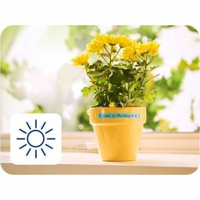 Brother P-touch BTAG-L31 Black on Light Blue Label Tape - BTAGL31