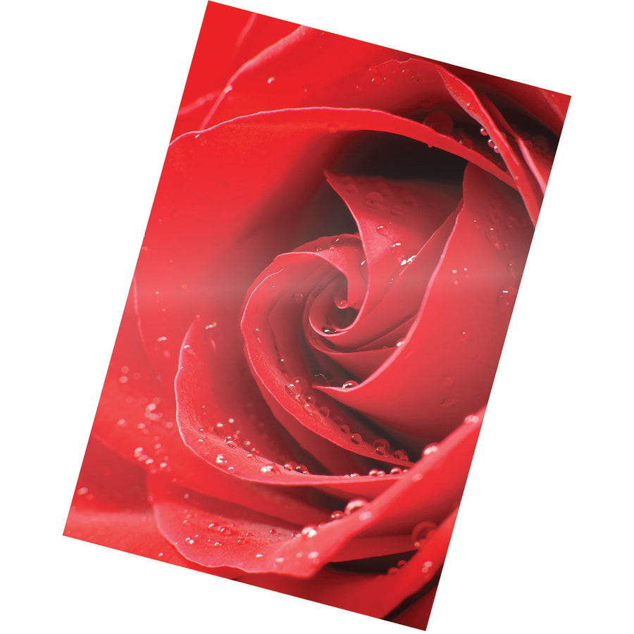 Fellowes Photo Card Glossy Thermal Laminating Pouches - 52010-NVXC