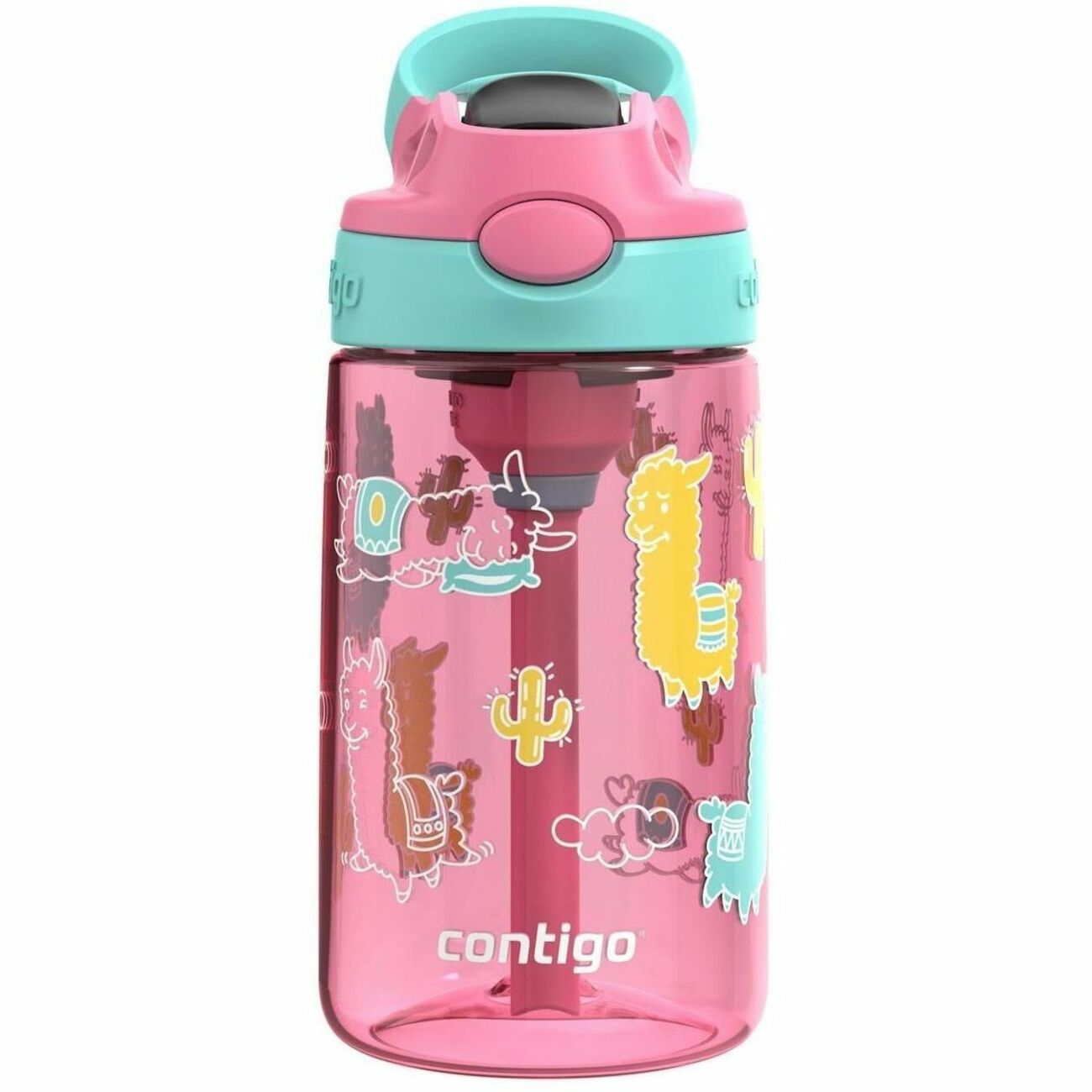 Contigo Aubrey Leak-Proof Spill-Proof Water Bottle, 14 oz