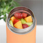 Thermos Orange Stainless Steel FUNtainer Food Jar w/ Folding Spoon 470mL - F31104OR6