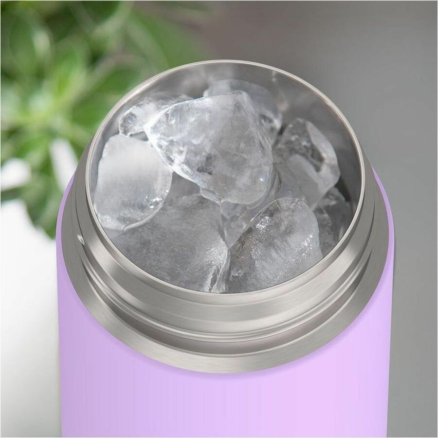 Thermos 16oz Funtainer Water Bottle With Locking Lid - F42100LV6