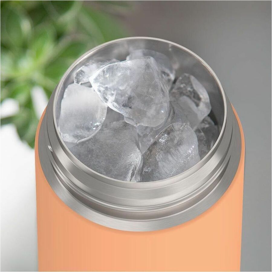 Thermos 16oz Funtainer Water Bottle With Locking Lid - F42100OR6