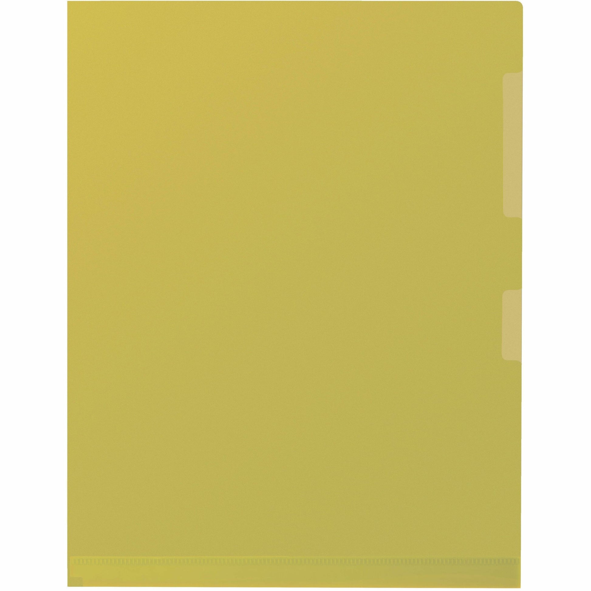 Merangue Letter Storage Folder