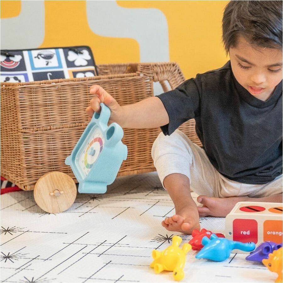 Time Timer 60 Minute Timer - TTM9-PB-W