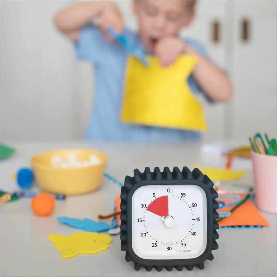 Time Timer 60 Minute Timer - TTM9-PT-W