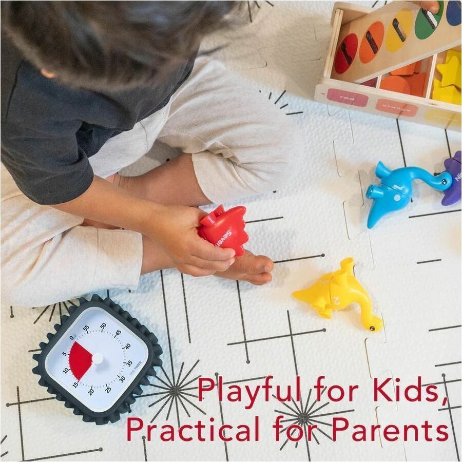 Time Timer 60 Minute Timer - TTM9-PT-W