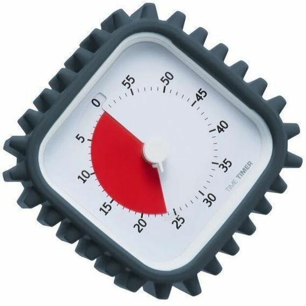 Time Timer 60 Minute Timer - TTM9-PT-W