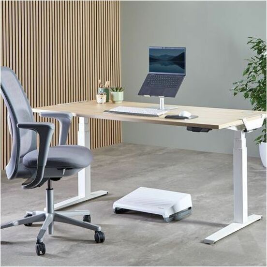 Fellowes Alumia Desk Laptop Stand - Silver - 100138880