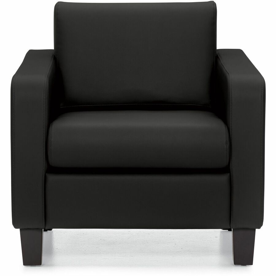 Suburb Lounge Chair, LuxPlus Black - MVL13051 L01P L01P ST