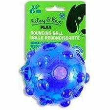 Riley & Rex Play Bouncing Ball
