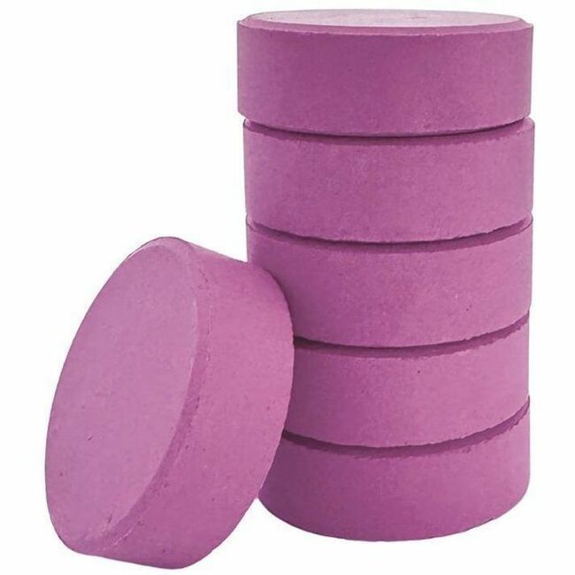 DBLG Import Inc Violet Tempera Paint Blocks