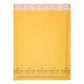 Spicers Cushioned Mailer