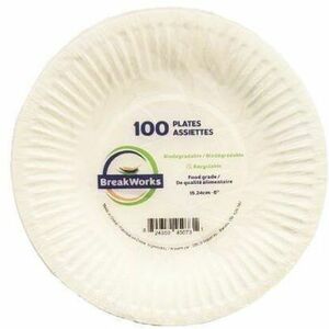 Breakworks Biodegradable Paper Plate