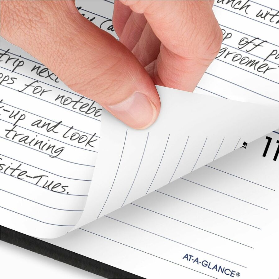 At-A-Glance DayMinder Executive Refillable Planner - G545-00