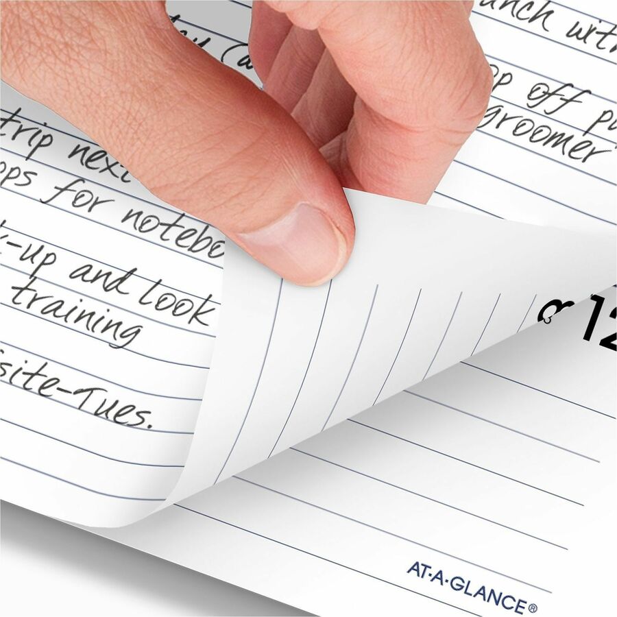 At-A-Glance DayMinder Executive Refill for G545 - G545-50