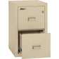 FireKing Insulated Turtle File Cabinet - 2-Drawer - 2R-1822-C-PA