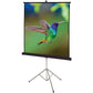 Quartet Manual Projection Screen - 570S