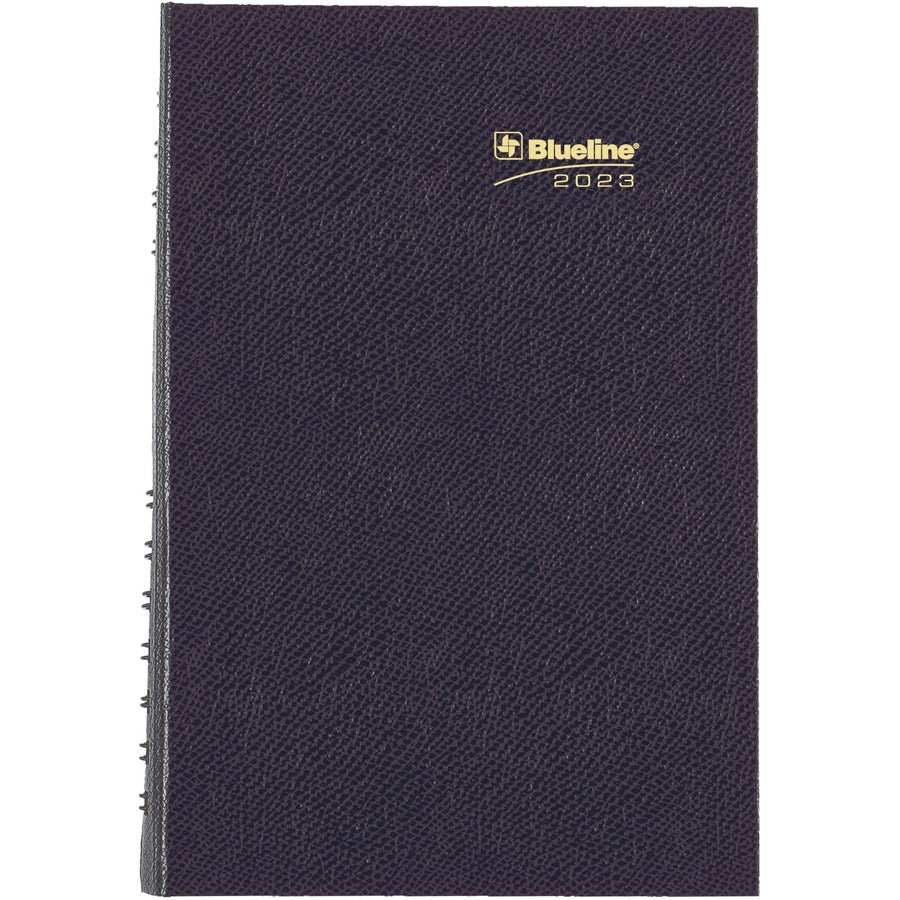 Blueline Blueline Daily Planner - C1504CBOST