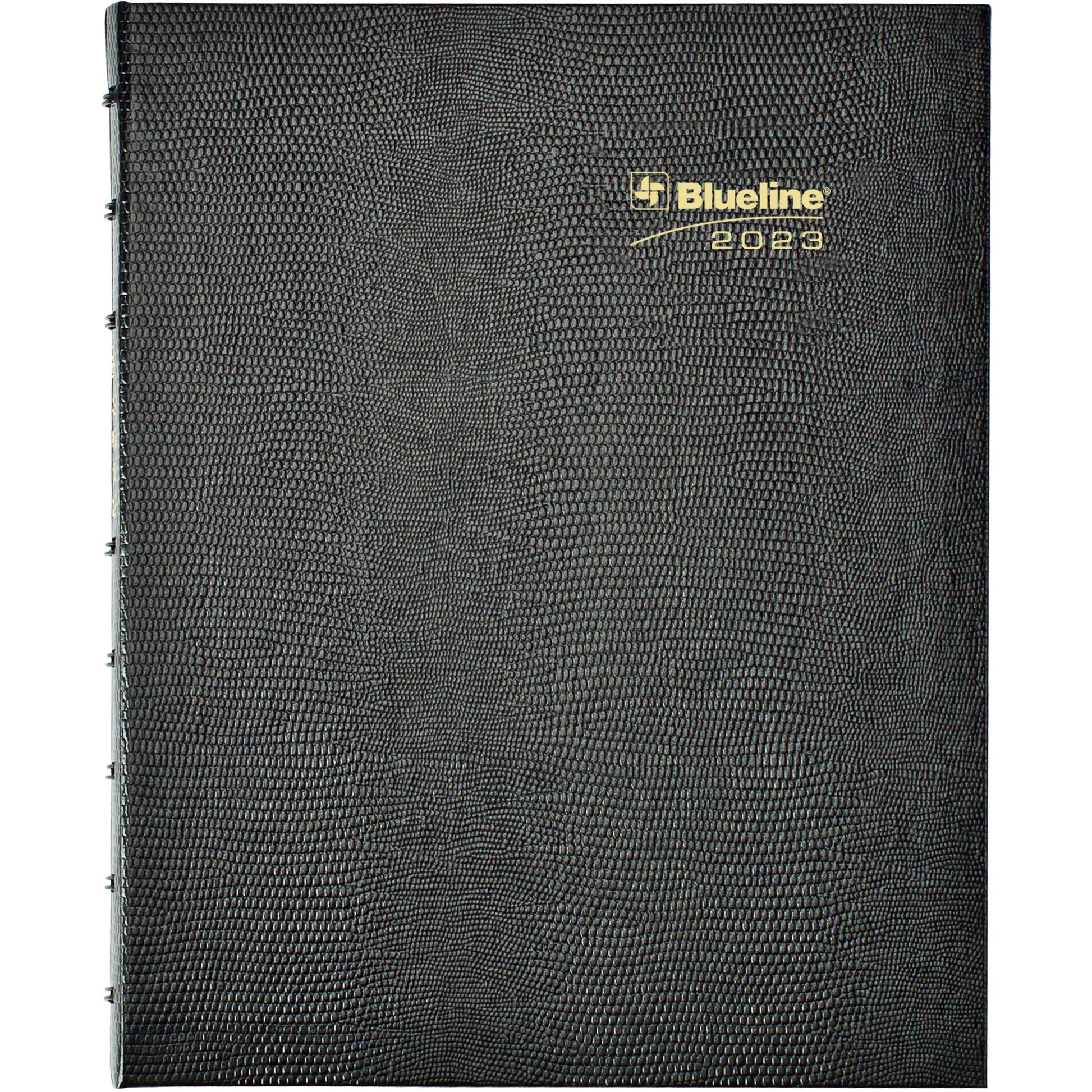 Blueline Blueline 16-Month Monthly Planner
