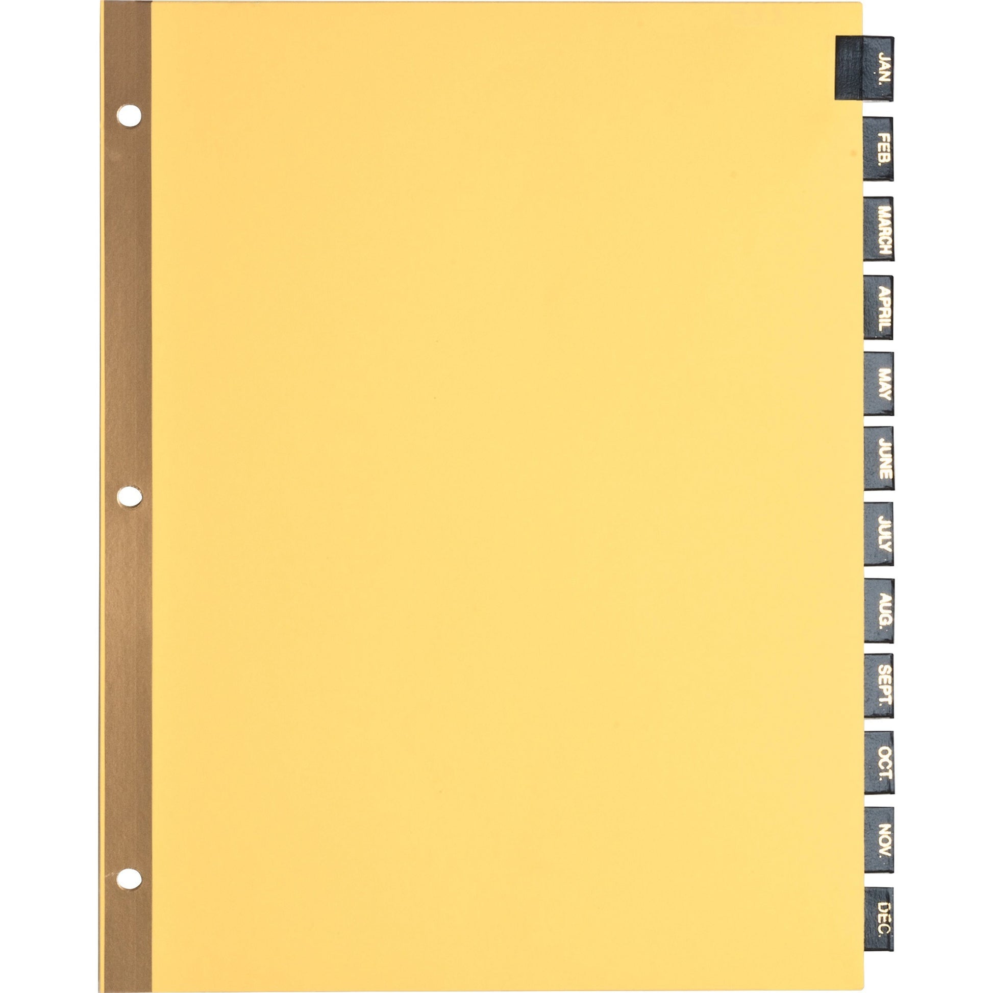 Business Source Monthly Black Leather Tab Index Dividers