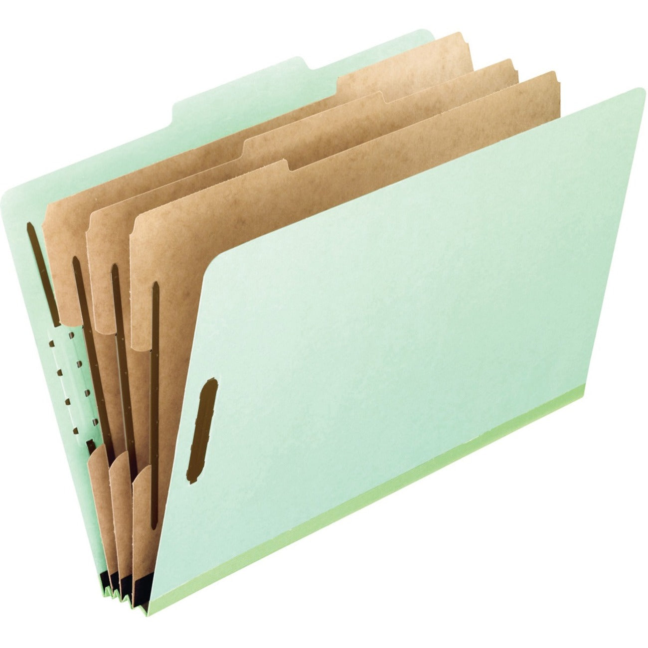 Pendaflex Letter Recycled Classification Folder