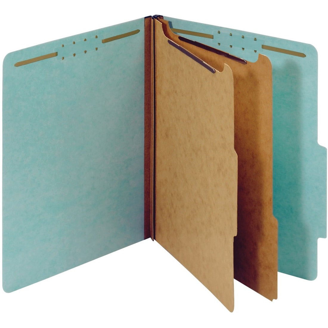 Pendaflex Letter Recycled Classification Folder